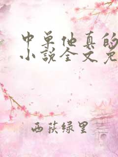 中单他真的很乖小说全文免费阅读