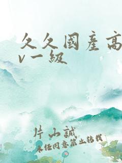 久久国产高清av一级