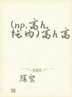 (np,高h,纯肉)高h高辣文