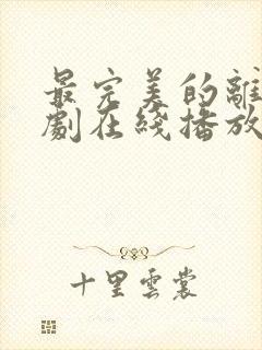 最完美的离婚韩剧在线播放