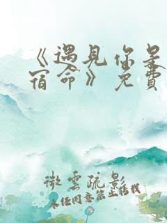 《遇见你是我的宿命》免费观看