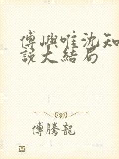 傅屿唯沈知意小说大结局