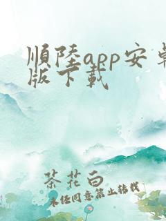 顺陆app安卓版下载