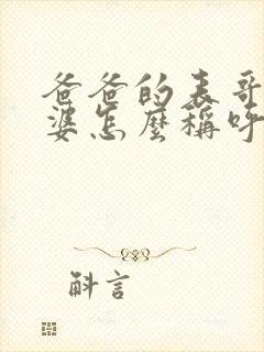 爸爸的表哥的老婆怎么称呼