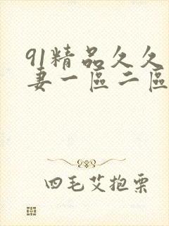 91精品久久人妻一区二区