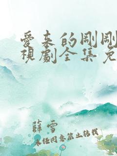 爱来的刚刚好电视剧全集免费观看