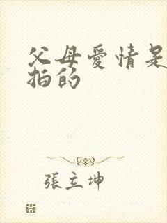 父母爱情是哪年拍的