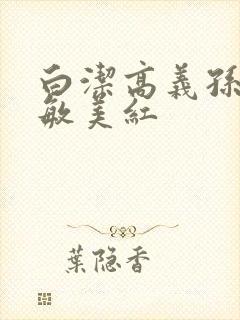 白洁高义孙倩张敏美红