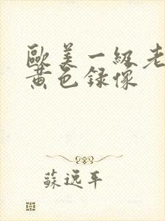 欧美一级老女人黄色录像