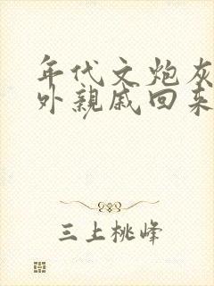 年代文炮灰的海外亲戚回来了小说txt