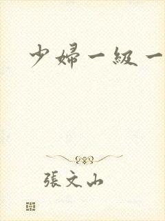 少妇一级一级片