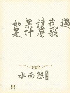 如果让我遇见你是什么歌