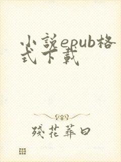 小说epub格式下载