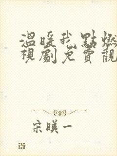 温暖我点燃你电视剧免费观看完整版