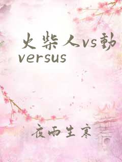 火柴人vs动画versus