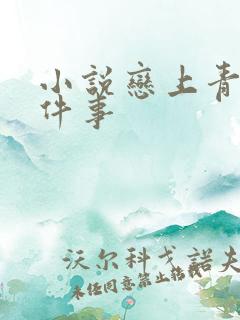 小说恋上青梅这件事