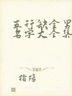 五行缺金男孩的名字大全集