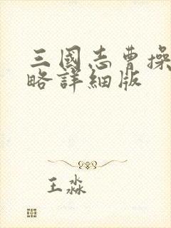 三国志曹操传攻略详细版