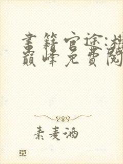 书籍官途:权力巅峰免费阅读