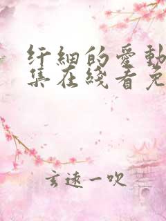 纤细的爱动漫全集在线看免费双男主