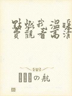 点燃我温暖你免费观看高清完整版