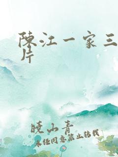 陈江一家三口照片