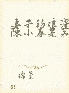 妻子的浪漫旅行陈小春是第几季