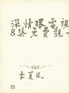 深情眼电视剧第8集免费观看