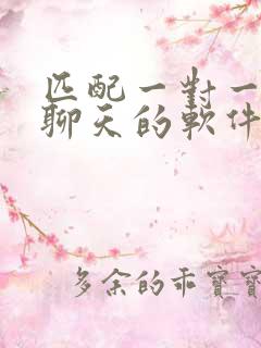 匹配一对一视频聊天的软件