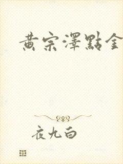 黄宗泽点金胜手