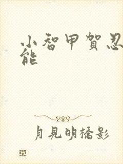 小智甲贺忍蛙技能