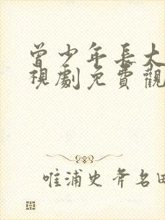 曾少年长大了电视剧免费观看全集