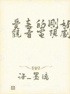 爱来的刚好免费观看电视剧全集