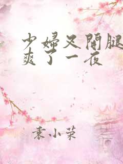 少妇叉开腿让我爽了一夜