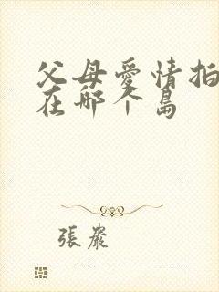 父母爱情拍摄地在哪个岛