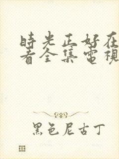 时光正好在线观看全集电视剧免费