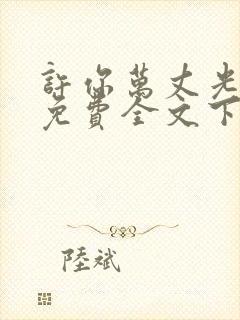 许你万丈光芒好免费全文下载