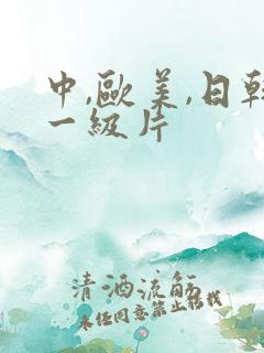 中,欧美,日韩一级片