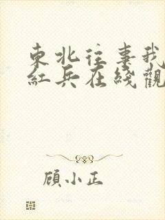 东北往事我叫赵红兵在线观看完整版免费的