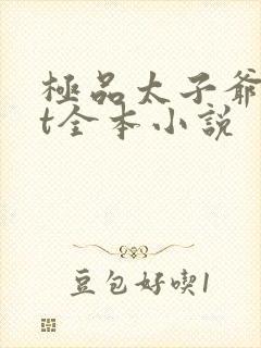 极品太子爷txt全本小说