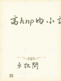 高hnp肉小说