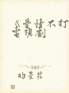 《爱情不打烊》电视剧