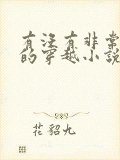 有没有非常好看的穿越小说