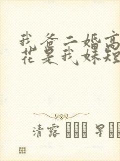 我爸二婚高冷校花是我妹短剧后续