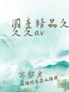 国产精品久久久久久av