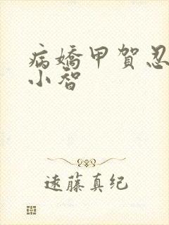 病娇甲贺忍蛙与小智