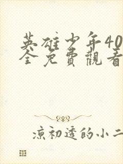 英雄少年40集全免费观看电视剧