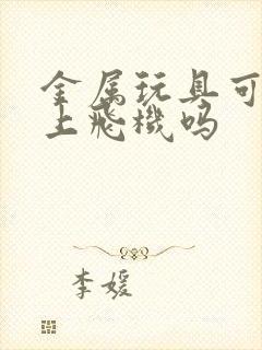 金属玩具可以带上飞机吗