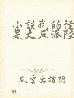 小说我的徒弟都是大反派陆州完结