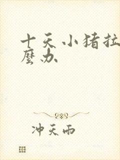 十天小猪拉稀怎么办